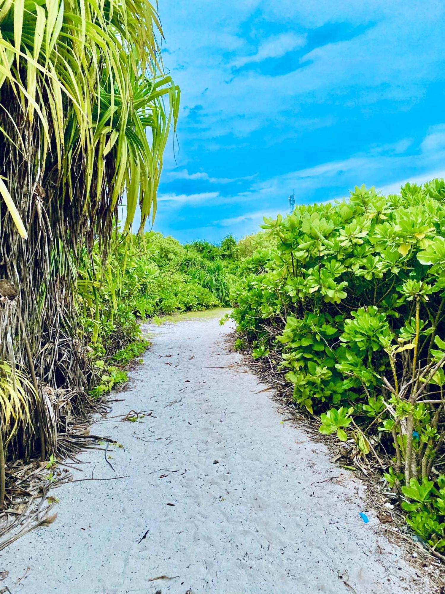 Oasis Village Fenfushi, Maldives Εξωτερικό φωτογραφία